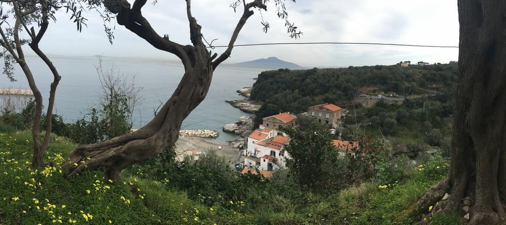 Villa Rosmary - Sorrento Coast - Gulf Of Naples View Εξωτερικό φωτογραφία
