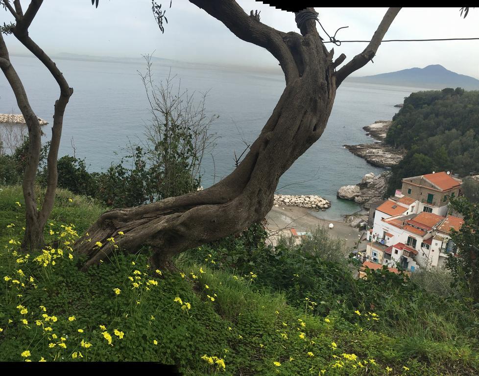Villa Rosmary - Sorrento Coast - Gulf Of Naples View Εξωτερικό φωτογραφία