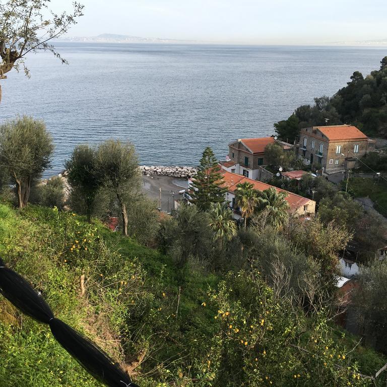 Villa Rosmary - Sorrento Coast - Gulf Of Naples View Εξωτερικό φωτογραφία