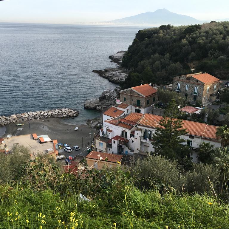 Villa Rosmary - Sorrento Coast - Gulf Of Naples View Εξωτερικό φωτογραφία