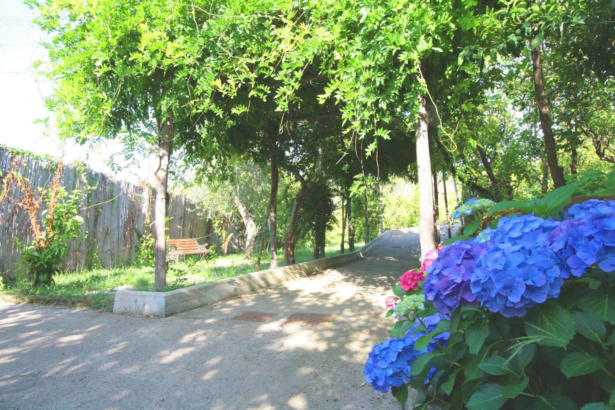 Villa Rosmary - Sorrento Coast - Gulf Of Naples View Εξωτερικό φωτογραφία
