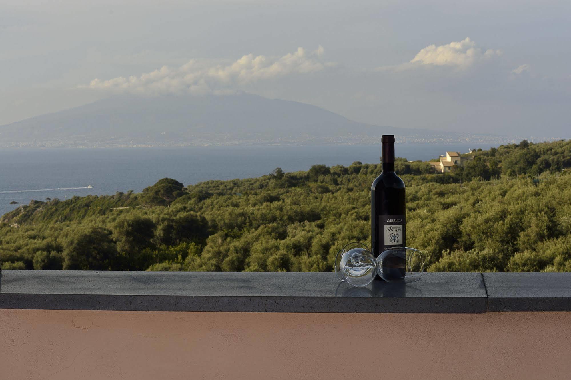 Villa Rosmary - Sorrento Coast - Gulf Of Naples View Εξωτερικό φωτογραφία