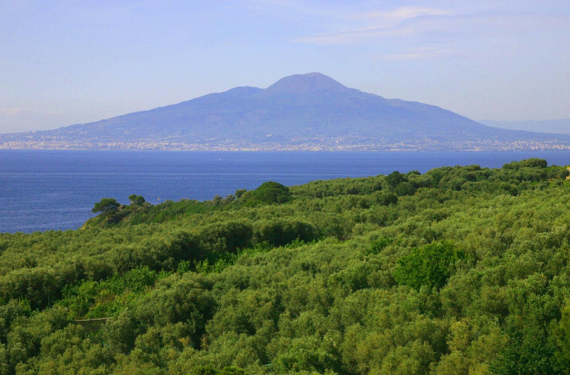 Villa Rosmary - Sorrento Coast - Gulf Of Naples View Εξωτερικό φωτογραφία