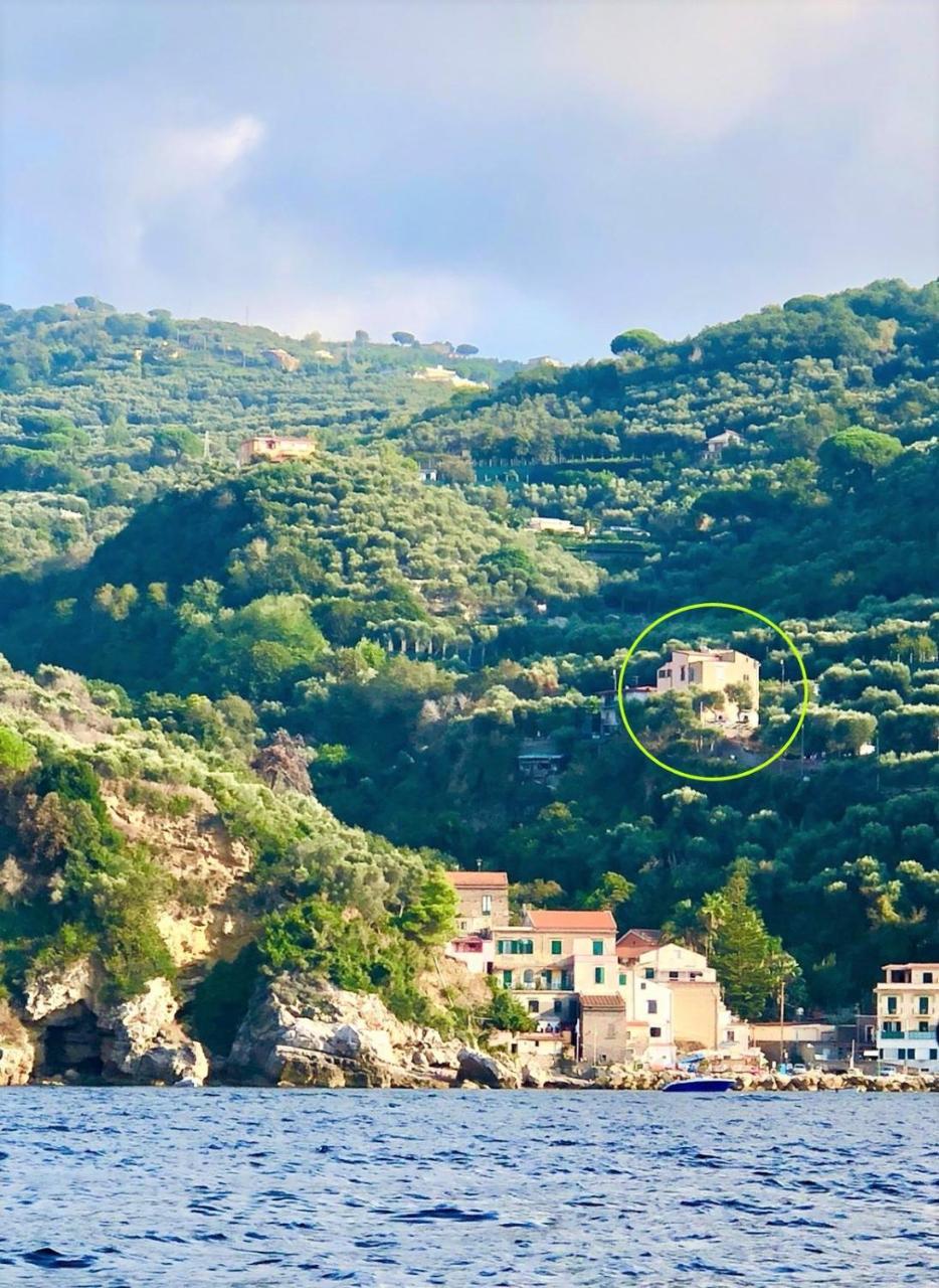 Villa Rosmary - Sorrento Coast - Gulf Of Naples View Εξωτερικό φωτογραφία