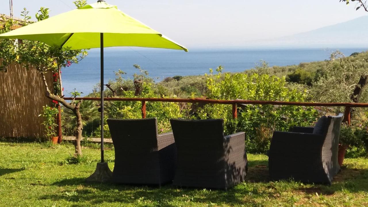 Villa Rosmary - Sorrento Coast - Gulf Of Naples View Εξωτερικό φωτογραφία