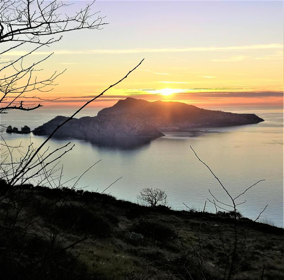 Villa Rosmary - Sorrento Coast - Gulf Of Naples View Εξωτερικό φωτογραφία
